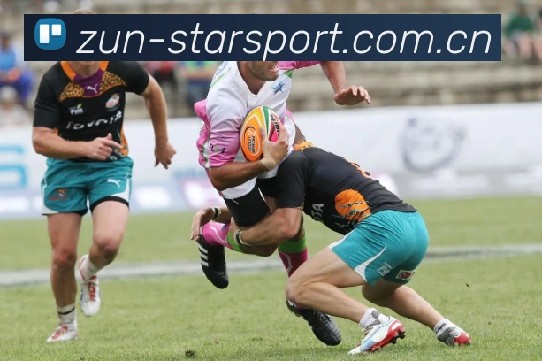 星空体育官方下载 - APP官网入口 - Star Sports 星空体育官方下载 团队